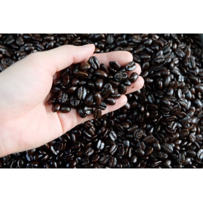 【発送月固定定期便】ドリップパック16個セット全12回