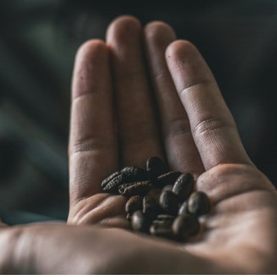 【発送月固定定期便】ブラジル ブルボンアマレロ(中深煎り)200g×2袋全12回