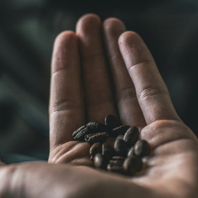 【発送月固定定期便】グアテマラ　ゴールデンパレンシア(中深煎り)200g×2袋全12回