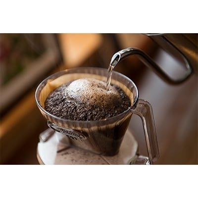 2022年3月発送開始『定期便』【増量版】LittleMorrow6カ月(豆)【大】全6回