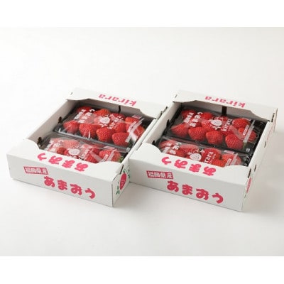 いちごファームきららのあまおう　約1140g(約285g×4パック)(筑後市)【配送不可地域：離島・北海道・沖縄県】