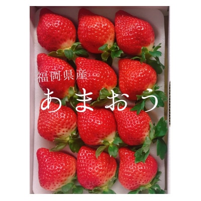 あまおう500g(化粧箱入り)×1箱【配送不可地域：離島】