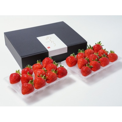 ふくおかエコ農産物認証!あまおうEXサイズ 贈答用 約600g 約300g×2パック(筑後市)【配送不可地域：離島】