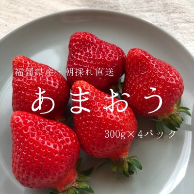 あまおう300g×4パック【配送不可地域：離島】