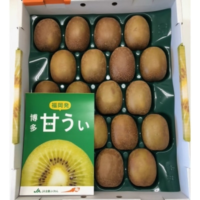 博多甘うぃ キウイ 約3.6kg 20～24玉