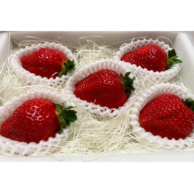 農園オリジナルブランド苺「みつのか」贈答用380g×2段【配送不可地域：離島・北海道・沖縄県・東北】