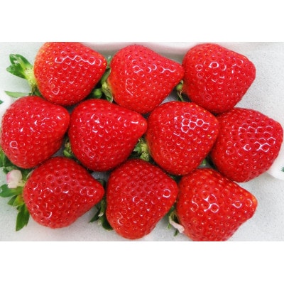 いちご「あまおう」 約270g×2パック 合計約540g【2025年1月下旬より順次発送】【配送不可地域：離島・北海道・沖縄県・東北】