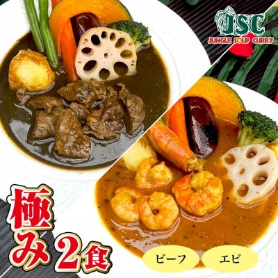 【極み】スープカレー極み2食セット(2～4人前)ジャングルスープカレー【配送不可地域：離島】