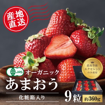 【贈答用】有機あまおう　9粒【配送不可地域：離島】