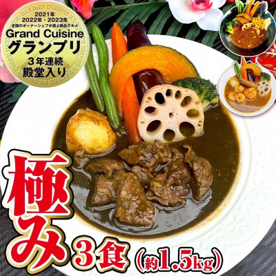 【極み】スープカレー極み3食セット(3～6人前)ジャングルスープカレー【配送不可地域：離島】