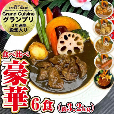 【豪華】スープカレー食べ比べ6食セット(6～12人前)ジャングルスープカレー【配送不可地域：離島】