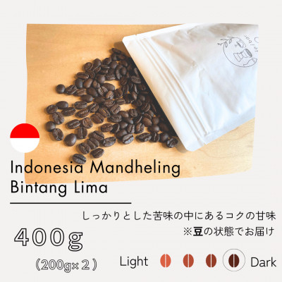 インドネシア　マンデリン　ビンタンリマ　G1　スマトラ式(深煎り)200g×2