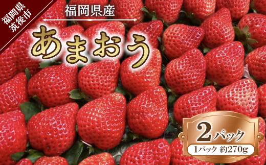 【2026年1月下旬～順次発送予定】福岡県産 あまおう 合計約540g 約270g×2パック【配送不可地域：離島】