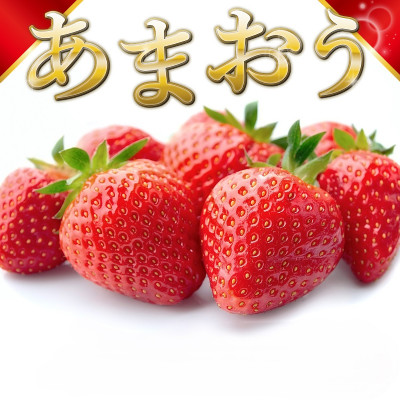【12月より順次発送】福岡県産 あまおう 1000g(250g×4パック)(筑後市)【配送不可地域：離島】