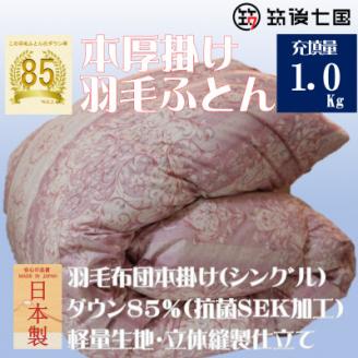 抗菌ダウン率85%1.0kg本厚掛け羽毛布団シングル(ピンク・ベージュ系)訳