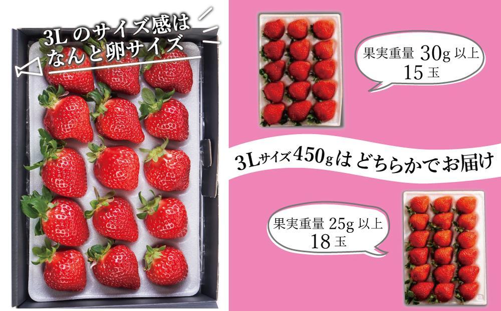 【今期発送の受付は2025年4月27日(日)まで】★福岡の産直いちご農家★武下さんちの「完熟あまおう」3Lサイズ 450g