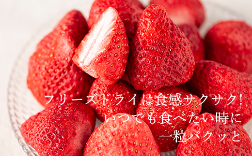 形も味もそのまま楽しめる！完熟あまおう【フリーズドライギフトセット】 (20g×6袋)