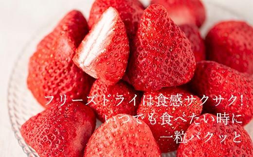 常温で手持ちできるギフト （フリーズドライ×2＆ジャム×1セット）