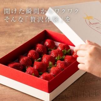 【今期発送の受付は2025年4月27日(日)まで】武下さんちの「完熟あまおう」 3Lサイズ 450g  白いVIPボックスに入れて！