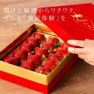 【今期発送の受付は2025年4月27日(日)まで】武下さんちの「完熟あまおう」 3Lサイズ 450g  赤いVIPボックスに入れて！