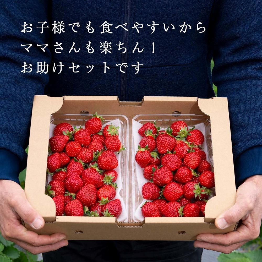 【今期発送の受付は2025年4月27日(日)まで】★たっぷり1000g！★ミニサイズの「完熟あまおう」セット