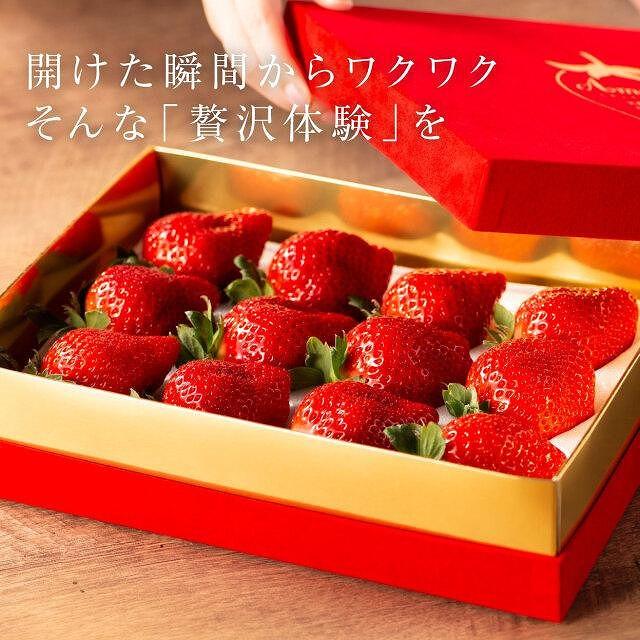 【今期発送の受付は2025年4月27日(日)まで】★希少4Lサイズ 450g ★赤のVIPボックスに入った宝石のような「完熟あまおう」！