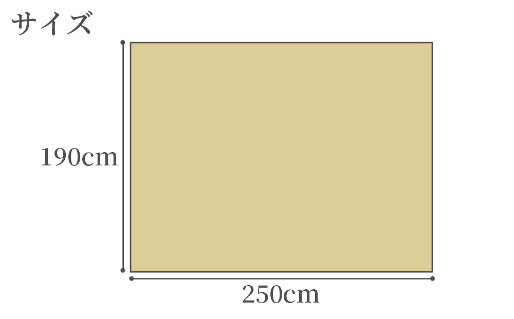 掛川織 ラグ 匠 ベージュ 190×250