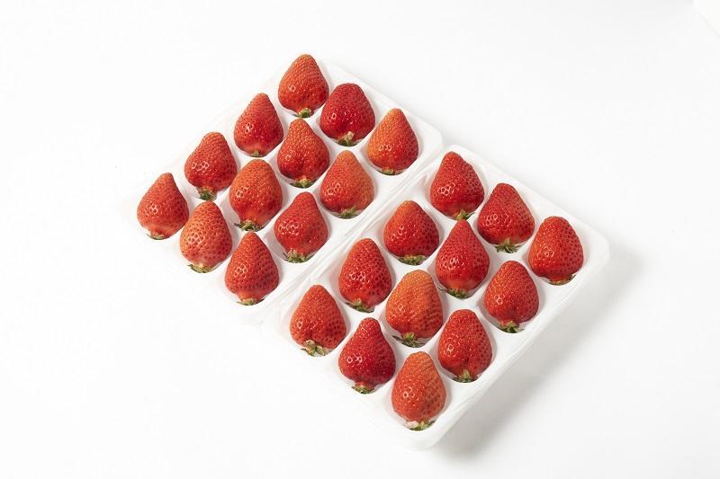 【12月中旬以降出荷予定】完熟 あまおう イチゴ 350g×2パック(約700g)＜配送不可：北海道、沖縄県、離島＞