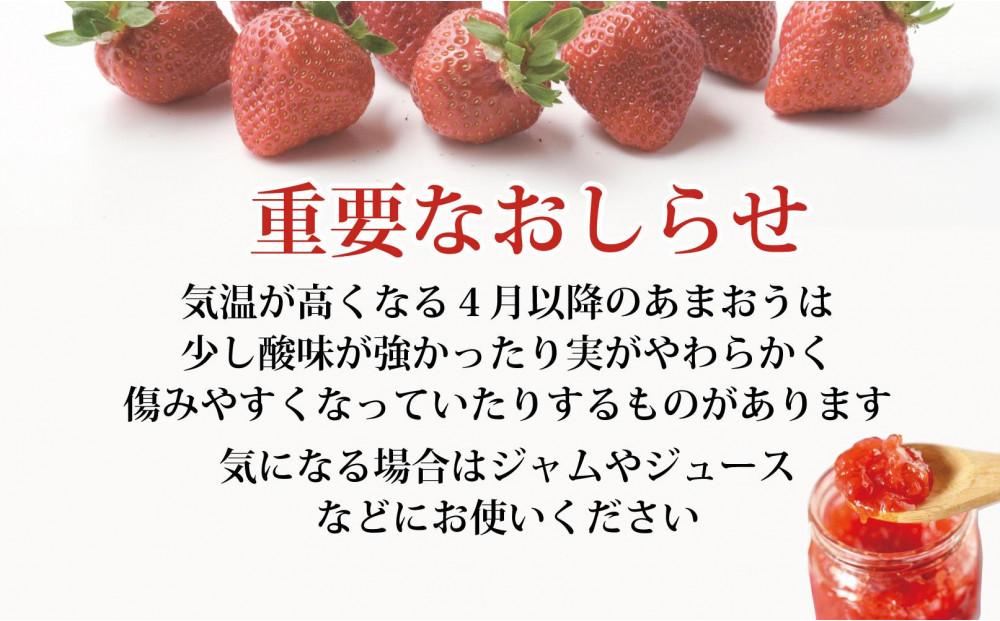 【2026年4月出荷予定】訳あり あまおう 280g×6パック(約1680g)＜配送不可：北海道、沖縄県、離島＞