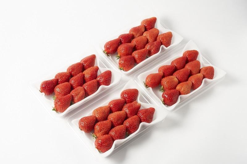 【2026年3月出荷予定】完熟 あまおう イチゴ 280g×4パック(約1120g)＜配送不可：北海道、沖縄県、離島＞
