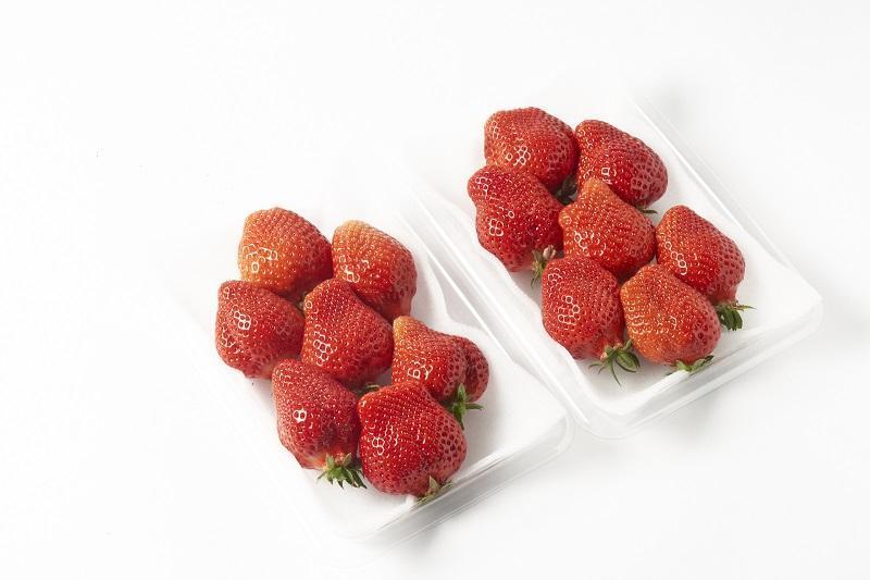 【2026年1月～3月出荷予定】完熟 大粒 あまおう イチゴ 280g×2パック(約560g)＜配送不可：北海道、沖縄県、離島＞