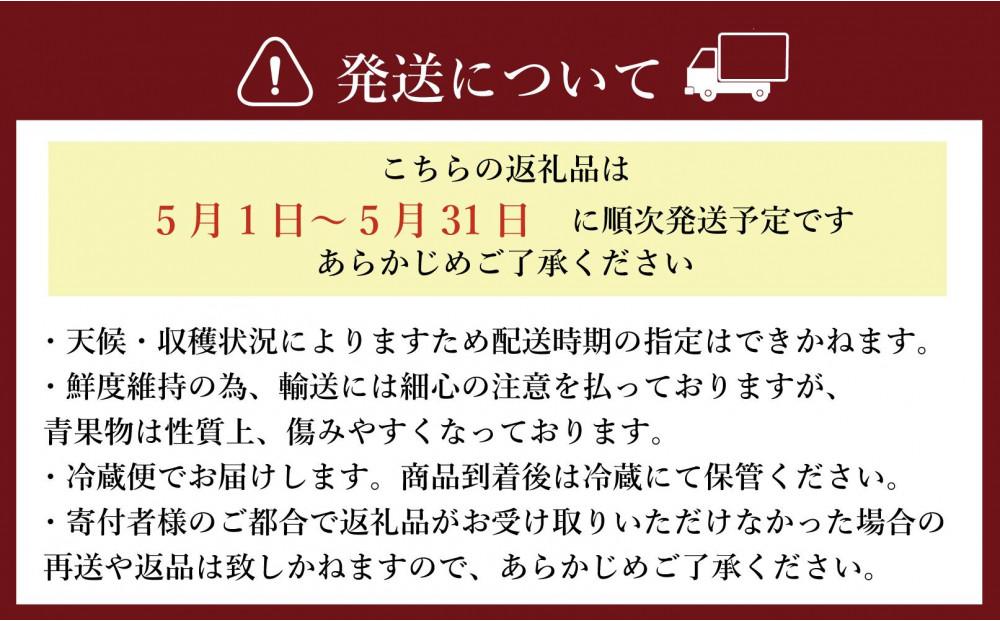 【2026年5月以降順次発送】訳あり加工用あまおういちご バラ詰め福岡県産 たっぷり約1.7kg＜配送不可：北海道、沖縄県、離島＞