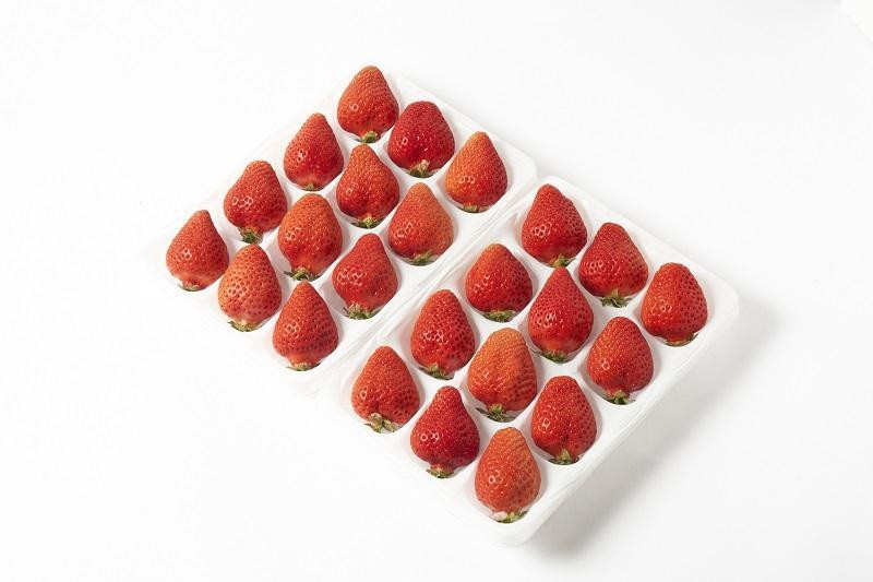 【2026年1月～2月出荷予定】完熟 あまおう イチゴ 350g×2パック(約700g)＜配送不可：北海道、沖縄県、離島＞