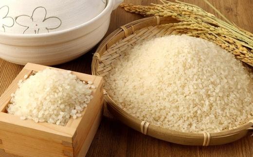 2025年秋収穫分 福岡県大川市産ヒノヒカリ 10kg