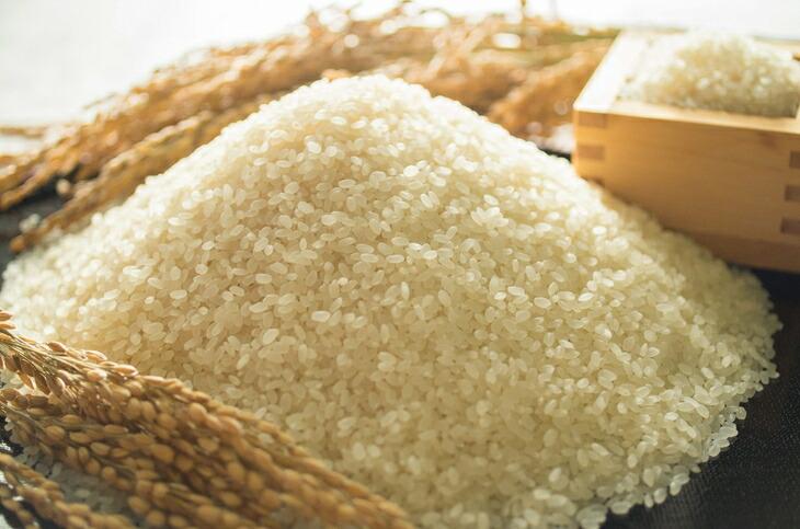 2025年秋収穫分 福岡県大川市産ヒノヒカリ 真空パック仕様 20個入り