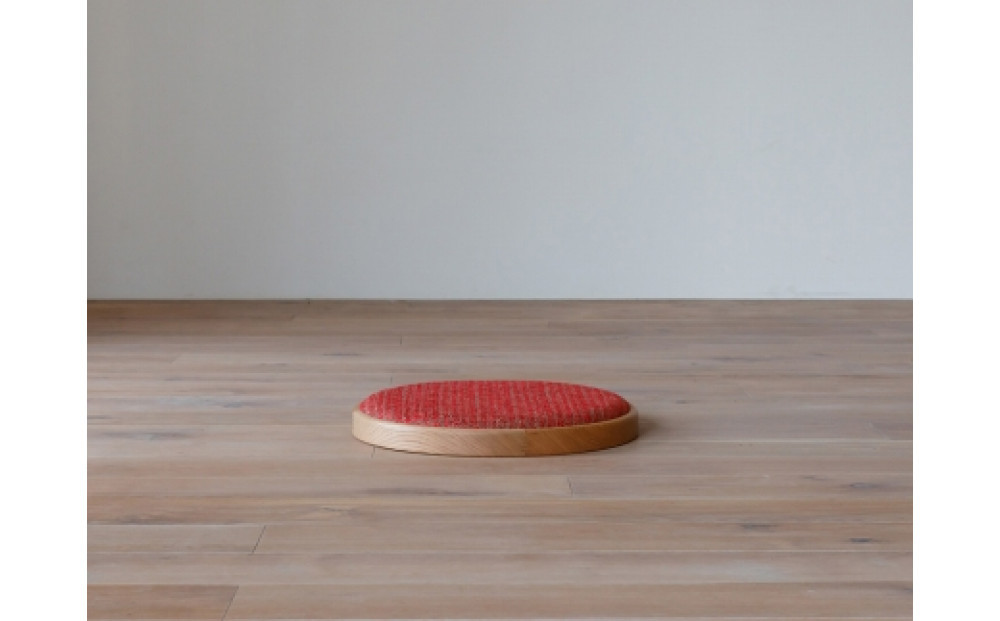 AGILE Zagu アムステルダム