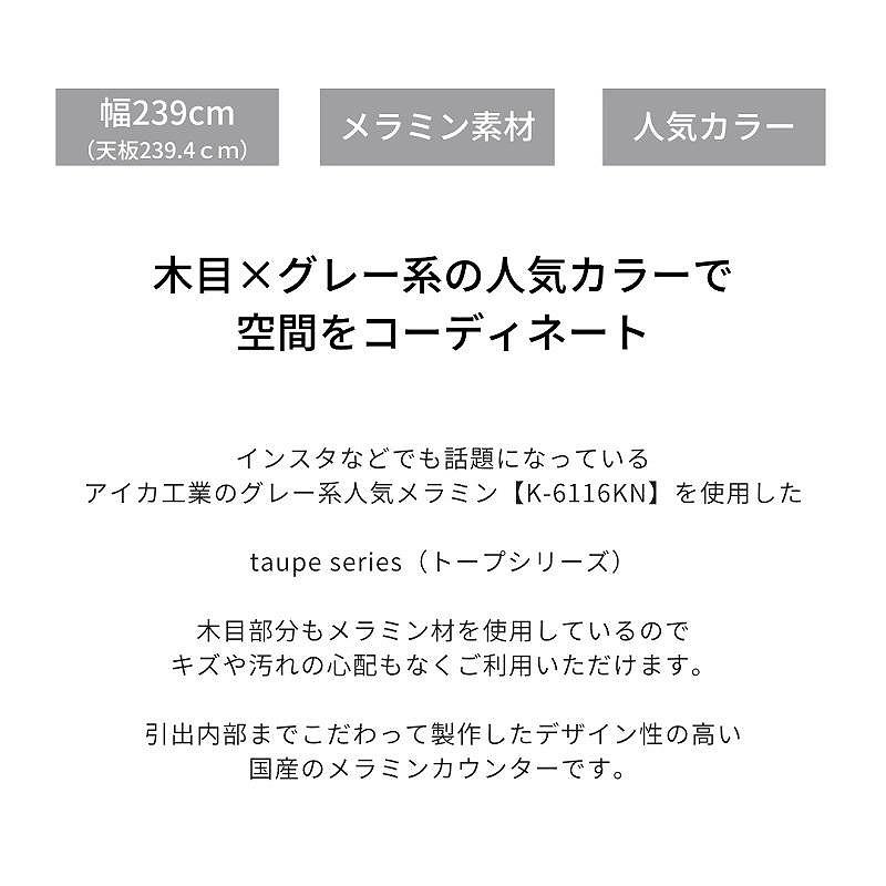 239トープカウンター引出タイプ