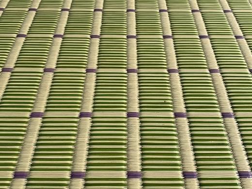 国産い草 掛川織ラグ 伊吹 グリーン 191×250