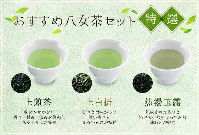 「BASIC3種飲みくらべ」八女茶特選セット300g