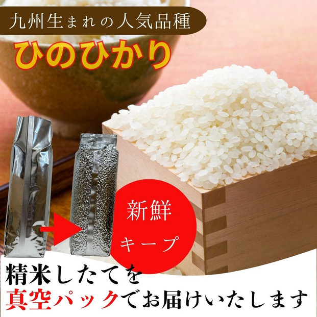 ※10月下旬より順次発送※令和7年産新米ひのひかり100%(自社保有田米) 10kg(小分け真空パック1000g×10) 福岡県 大川市