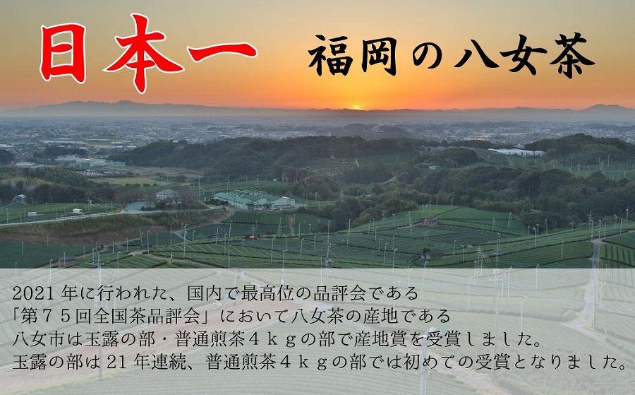 【八女産茶葉100％使用】福岡の八女茶（煎茶）500mlペットボトル24本入り