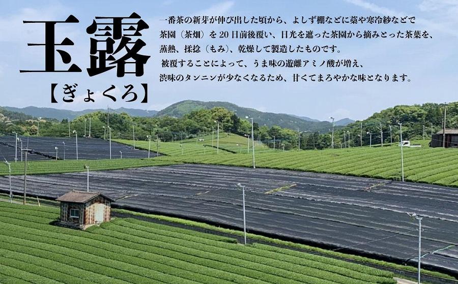 【玉露日本一】八女産玉露茶葉100％使用　福岡の八女茶　玉露ボトル缶　290g×24本入り1ケース