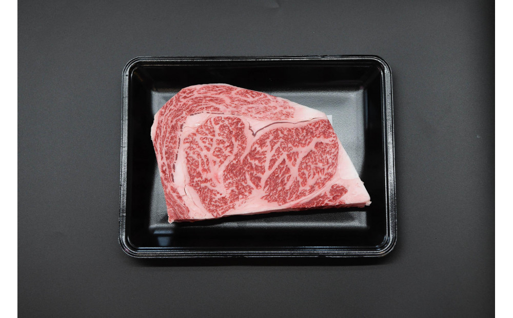 博多和牛 リブロースブロック 定期便全3回 計約1.5kg(約500g×3回)