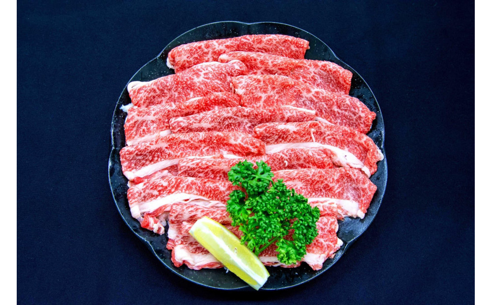 博多和牛 厳選定期便全12回