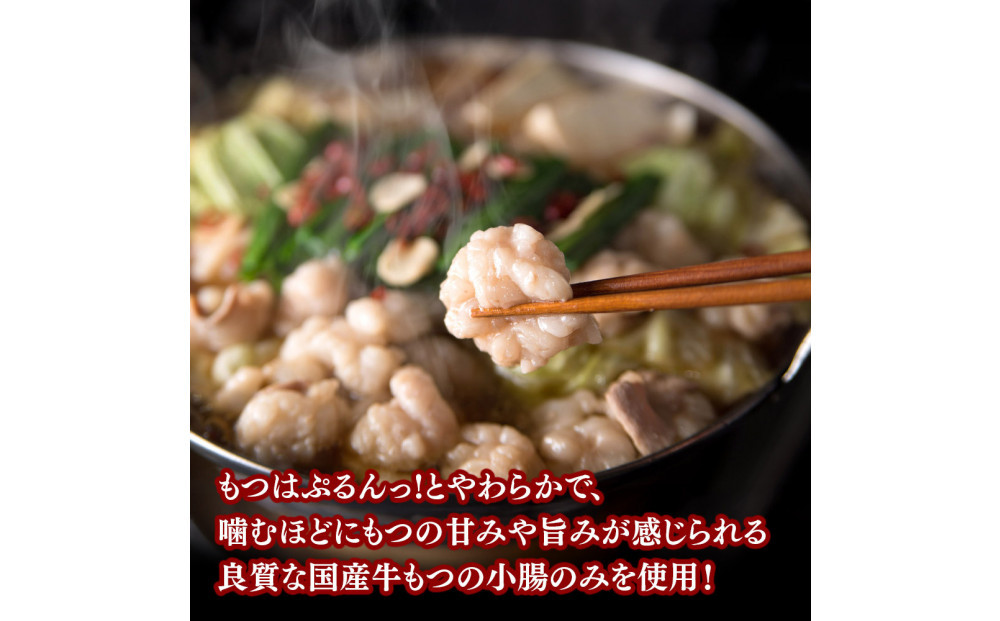 【海千】もつ鍋（醬油味）2-3人前セット