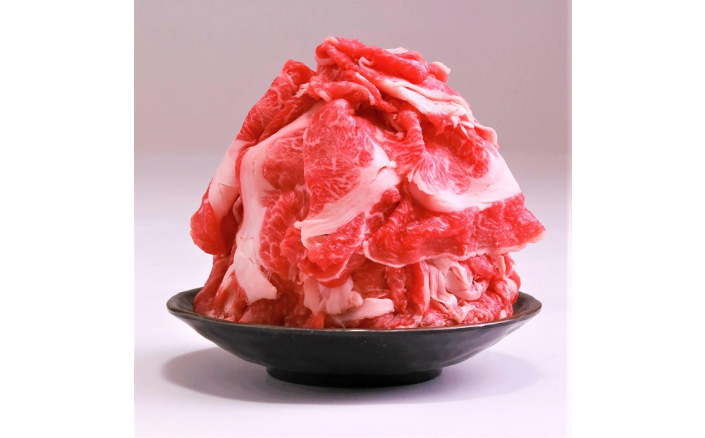 訳あり 博多和牛 切り落とし 5kg ( 500g×10パック )