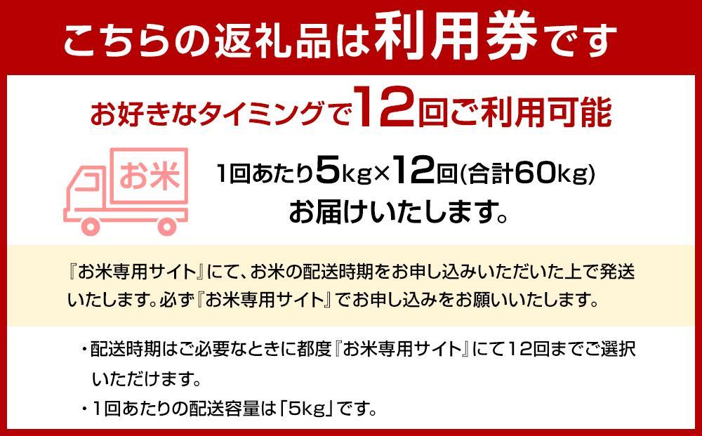 【福岡県産元気つくしをお届け】ふるさと納税 らくらくお米便　60kgコース