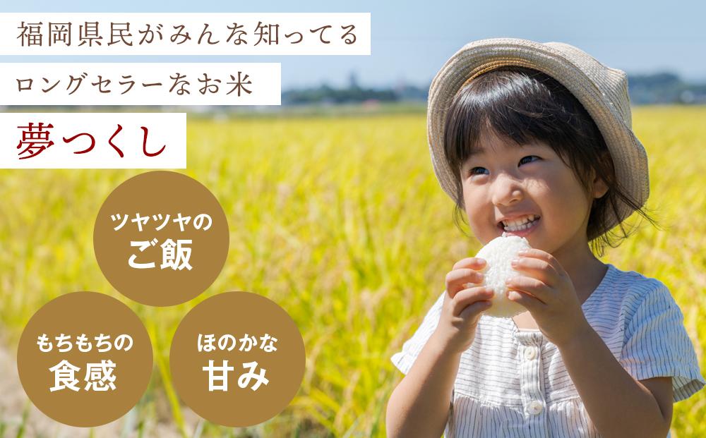 【新米 令和7年産】福岡県産 米 夢つくし 5kg × 1袋