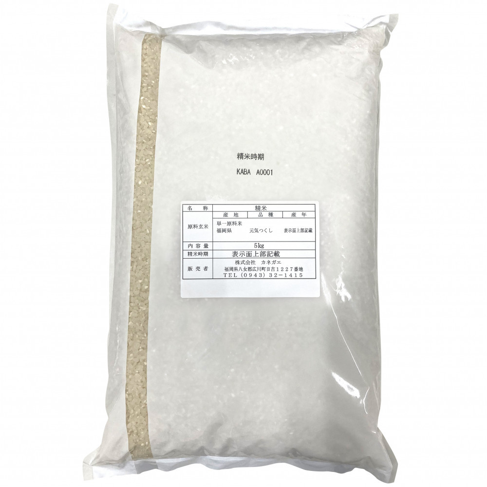 【新米 令和7年産】福岡県産 米 元気つくし 10kg セット ( 5kg×2袋 )