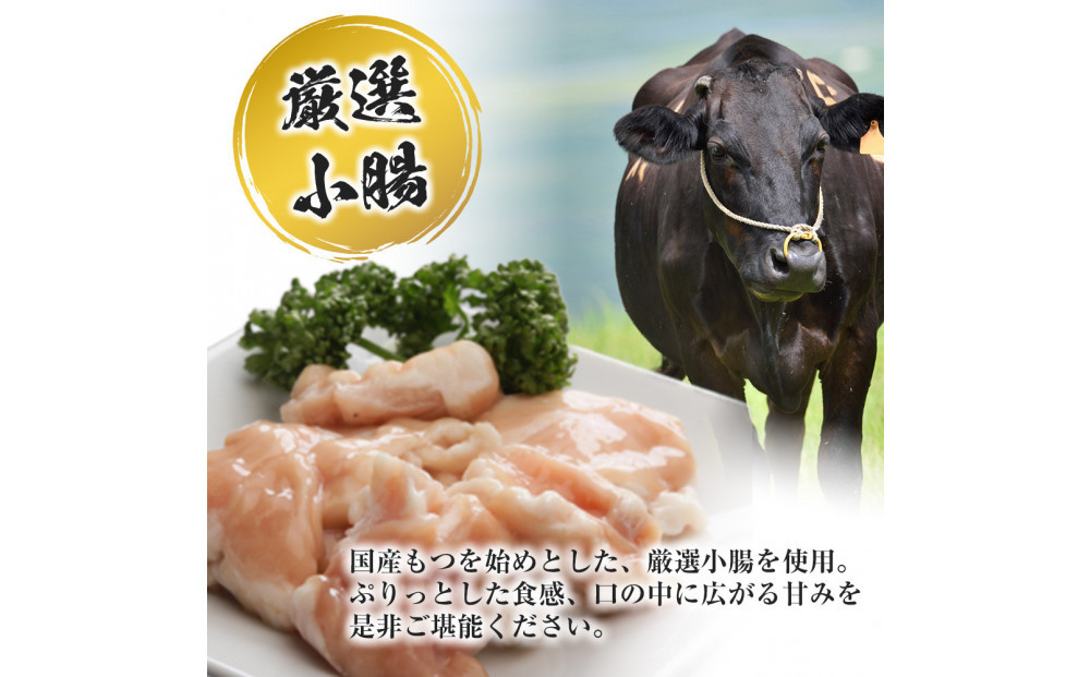 国産もつ入りミックスもつ鍋（味噌）6人前セット